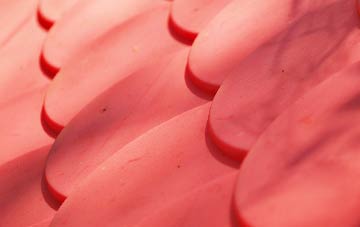 Culrigrein plastic roof costs